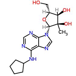 N-Cyclopentyl-2'-C-methyladenosine_205171-06-8
