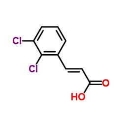 (2E)-3-(2,3-Dichlorophenyl)acrylic acid_20595-44-2