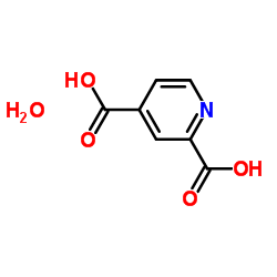 2,4,-pyridinedicarboxylic acid monohydrate_207671-42-9