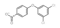 3,5-Dichlorophenyl-4-nitrophenyl ether_21105-77-1