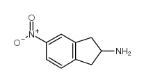 5-nitro-2,3-dihydro-1H-inden-2-amine_212845-77-7
