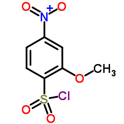 2-Methoxy-4-nitrobenzenesulfonyl chloride_21320-91-2