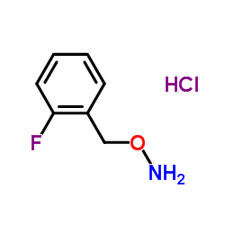1-[(Aminooxy)methyl]-2-fluorobenzene hydrochloride_215599-91-0