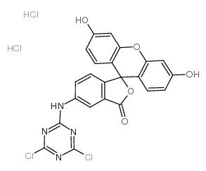 5-([4,6-Dichlorotriazin-2-yl]amino)fluorescein hydrochloride_21811-74-5