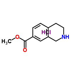 methyl 1,2,3,4-tetrahydroisoquinoline-7-carboxylate,hydrochloride_220247-69-8