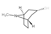 Tropine-3-thiol_228573-90-8