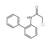 2-chloro-N-(2-phenylphenyl)acetamide_23088-28-0