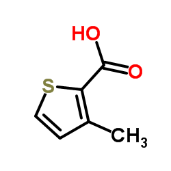 3-Methyl-2-thiophenecarboxylic acid_23806-24-8