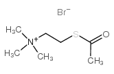 s-acetylthiocholine bromide_25025-59-6