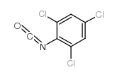 2,4,6-trichlorophenyl isocyanate_2505-31-9