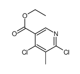 ethyl 4,6-dichloro-5-methylpyridine-3-carboxylate_252552-10-6