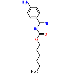 Hexyl [(4-aminophenyl)(imino)methyl]carbamate_255706-13-9