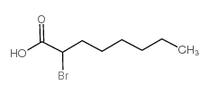 2-bromooctanoic acid_2623-82-7