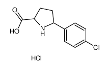 5-(4-chlorophenyl)pyrrolidine-2-carboxylic acid,hydrochloride_2646-77-7