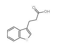 3-(1-benzothiophen-3-yl)propanoic acid_26461-80-3