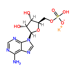 Polyadenylic acid potassium salt_26763-19-9