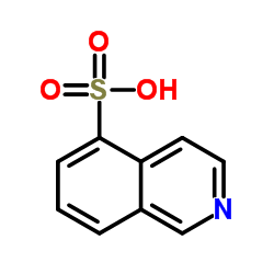 5-Isoquinolinesulfonic acid_27655-40-9