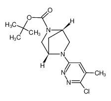 tert-butyl (1S,4S)-5-(6-chloro-5-methyl-3-pyridazinyl)-2,5-diazabicyclo[2.2.1]heptane-2-carboxylate_286946-16-5