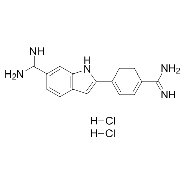 4',6-Diamidino-2-phenylindole dihydrochloride_28718-90-3