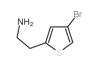 2-(4-bromothiophen-2-yl)ethanamine_28783-37-1