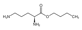 butyl (S)-2,5-diaminopentanoate_2885-14-5