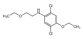 (2,5-Dichloro-4-ethoxy-phenyl)-(2-ethoxy-ethyl)-amine_29165-85-3