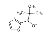 tert-butyl-thiazol-2-yl-aminooxyl_29490-44-6