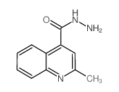2-Methylquinoline-4-carbohydrazide_29620-66-4