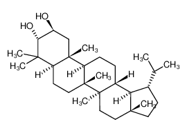 Lupan-2β,3α-diol_2984-10-3