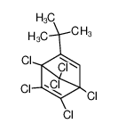 1,2,3,4,7,7-Hexachloro-5-tert-butylbicyclo-(2,2,1)-heptadien-2,5_29947-57-7