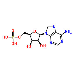 Vidarabine phosphate_29984-33-6