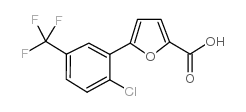 5-[2-chloro-5-(trifluoromethyl)phenyl]furan-2-carboxylic acid_302911-88-2