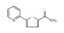 5-pyridin-2-ylthiophene-2-carbothioamide_306934-91-8