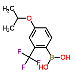 4-Isopropoxy-2-(trifluoromethyl)phenylboronic acid_313545-40-3