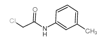 2-chloro-n-(3-methylphenyl)acetamide_32428-61-8