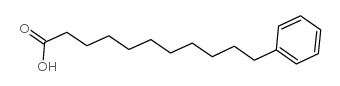 11-phenylundecanoic acid_3343-24-6