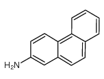 phenanthren-2-amine_3366-65-2