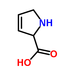L-3-Pyrroline-2-carboxylic acid_3395-35-5