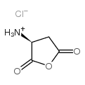 (3S)-3-aminooxolane-2,5-dione,hydrochloride_34029-31-7