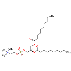 1,2-dicapryl-sn-glycero-3-phosphocholine_3436-44-0