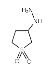 (1,1-dioxothiolan-3-yl)hydrazine_3448-12-2