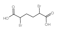 2,5-dibromohexanedioic acid_3479-85-4