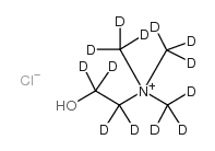choline-d13 chloride_352438-97-2