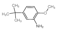 2-Amine-4-tert-butylanisole_3535-88-4