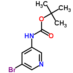 tert-Butyl (5-bromopyridin-3-yl)carbamate_361550-43-8