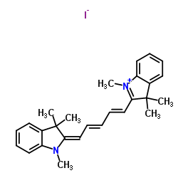 1,1',3,3,3',3'-hexamethylindodicarbocyanine iodide_36536-22-8