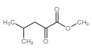 Methyl 4-Methyl-2-oxopentanoate_3682-43-7