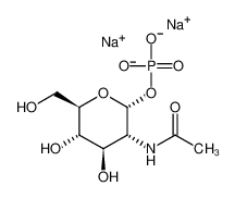 N-ACETYL-α-D-GLUCOSAMINE-1-PHOSPHATE DISODIUM SALT CAS:374726-40-6 manufacturer & supplier
