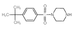 1-(4-tert-butylphenyl)sulfonylpiperazine_379244-68-5