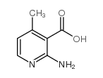 2-amino-4-methylnicotinic acid,_38076-82-3